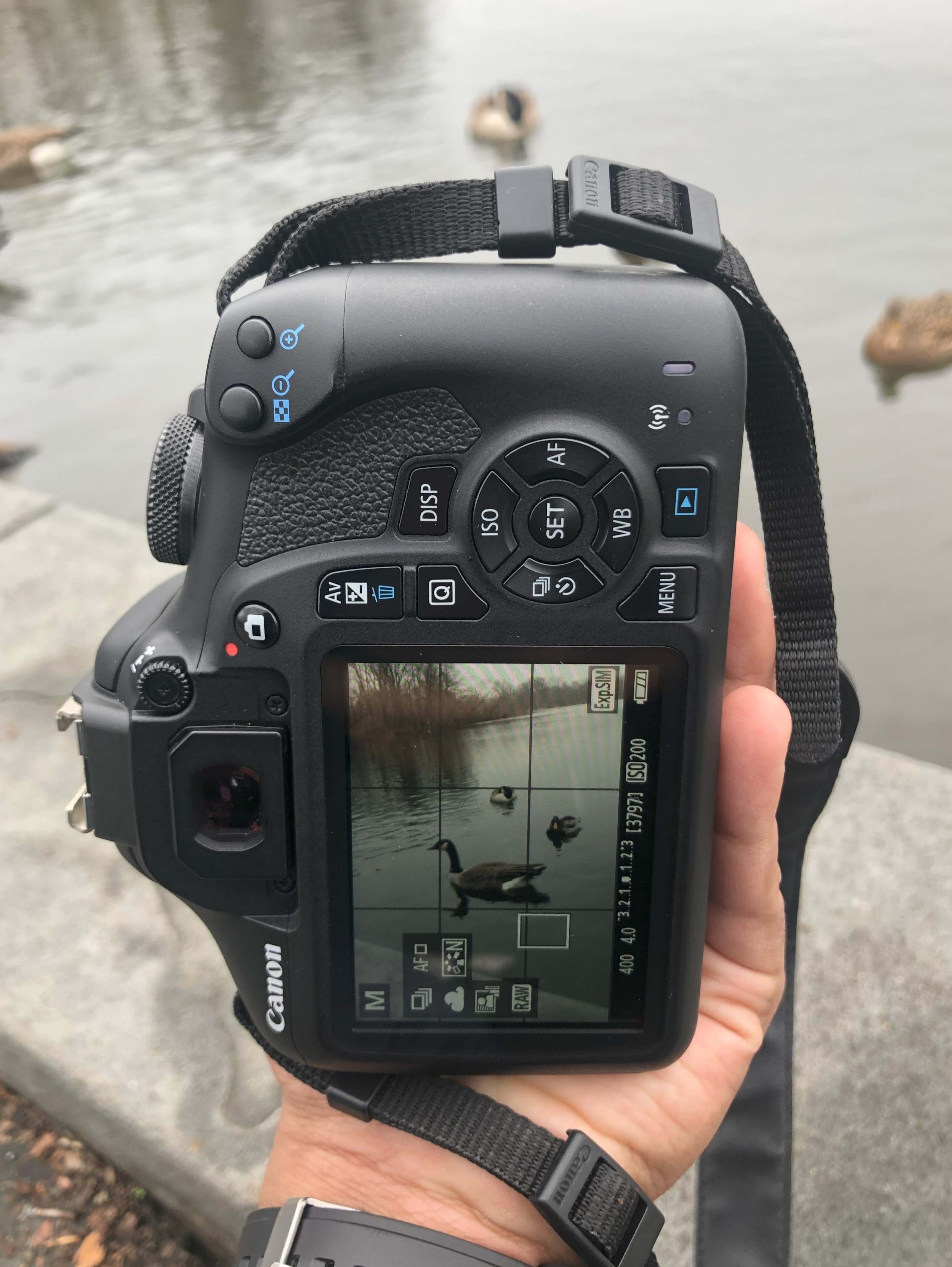 Photo of a camera showing a photo of ducks at a lake